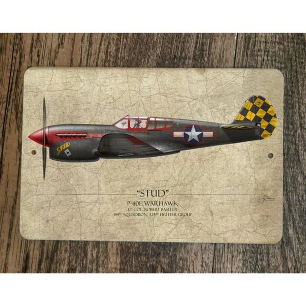 Stud P-40E Warhawk Military Jet Plane 8x12 Metal Wall Sign Poster